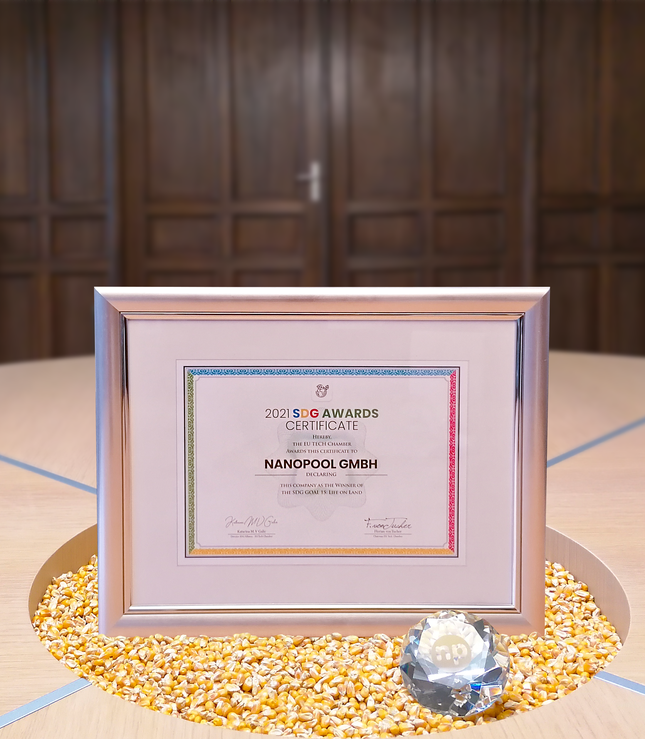 SDG-Award-2021-Nanopool_schmal